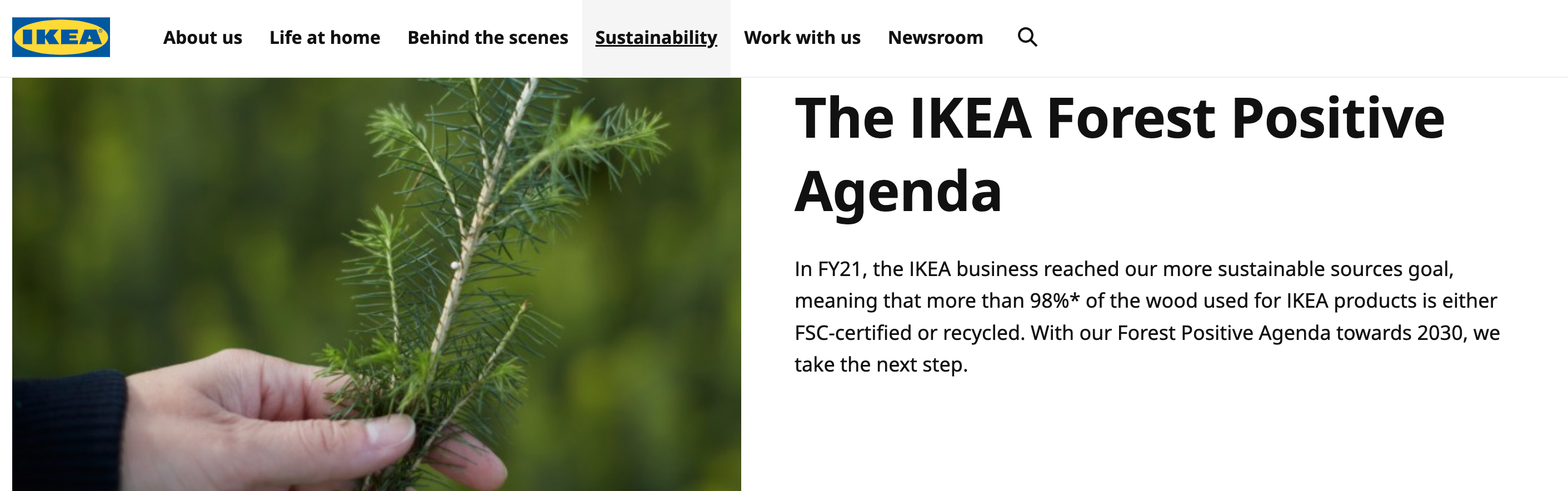 IKEA's forest agenda website page